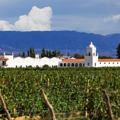 Visite des bodegas dans la région de Santa Cruz