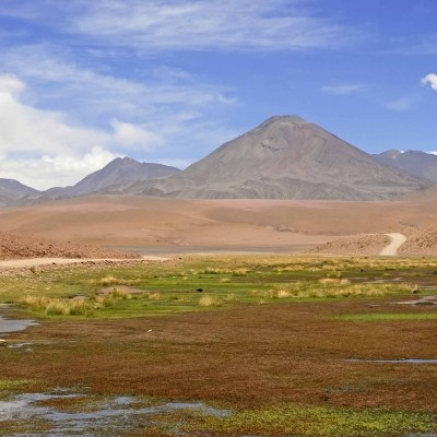 Hotel Calama
