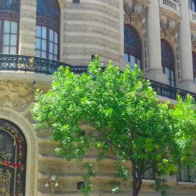 Hotel Buenos Aires